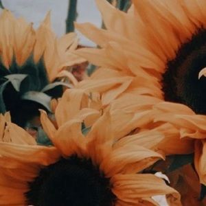 Meet your Posher, Kaitlynn